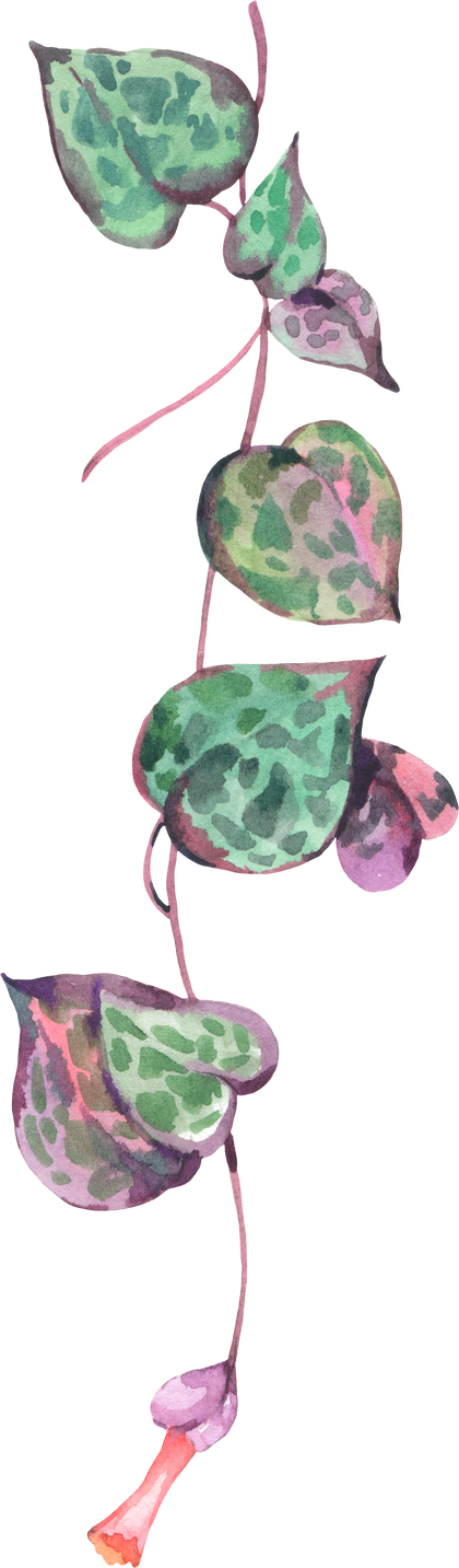 Watercolor Greenery Tropical Leaves